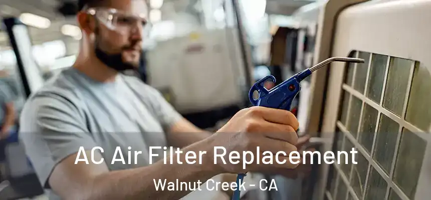 AC Air Filter Replacement Walnut Creek - CA