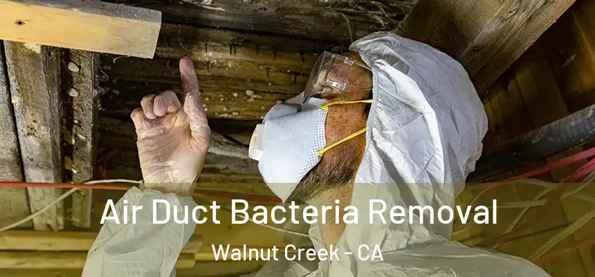 Air Duct Bacteria Removal Walnut Creek - CA