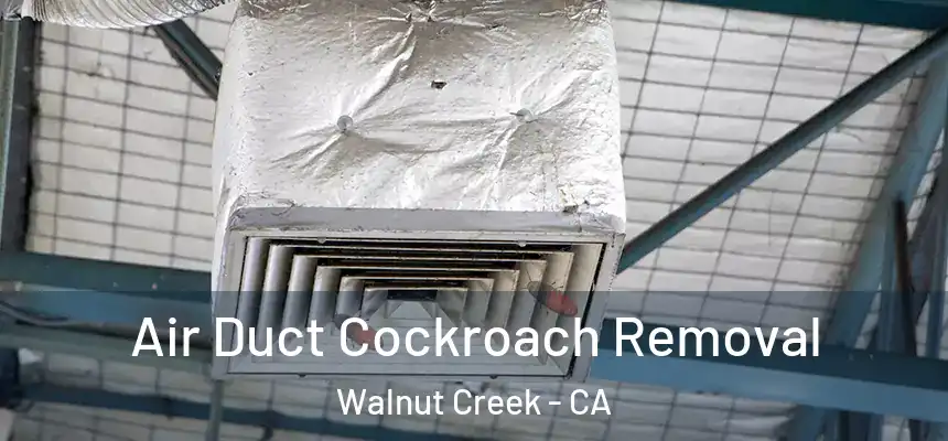 Air Duct Cockroach Removal Walnut Creek - CA