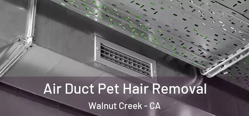 Air Duct Pet Hair Removal Walnut Creek - CA
