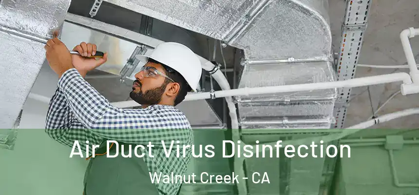 Air Duct Virus Disinfection Walnut Creek - CA