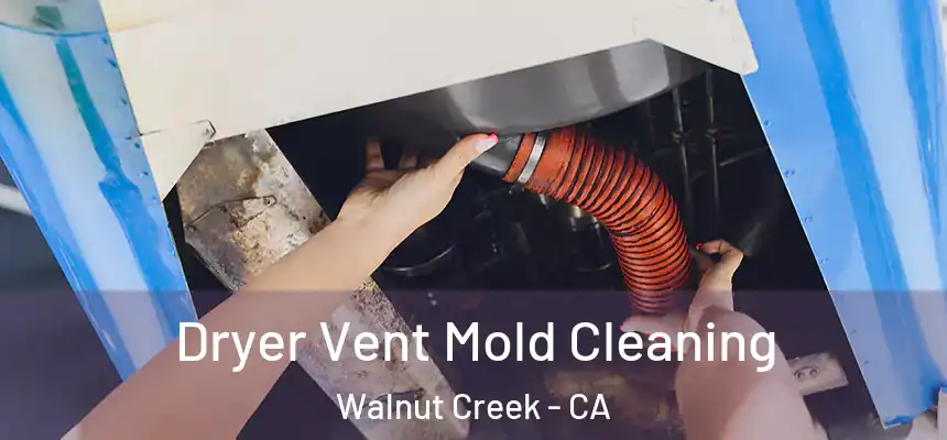 Dryer Vent Mold Cleaning Walnut Creek - CA