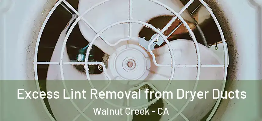 Excess Lint Removal from Dryer Ducts Walnut Creek - CA