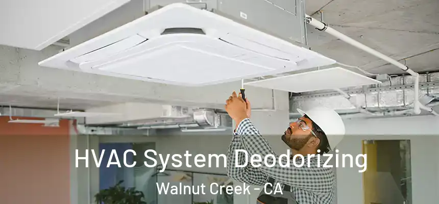 HVAC System Deodorizing Walnut Creek - CA