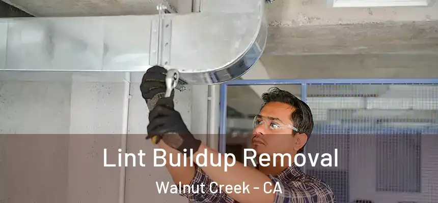 Lint Buildup Removal Walnut Creek - CA