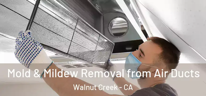 Mold & Mildew Removal from Air Ducts Walnut Creek - CA