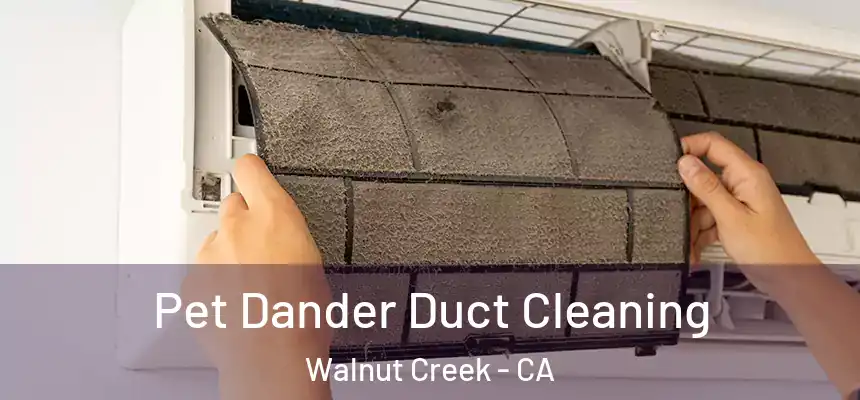 Pet Dander Duct Cleaning Walnut Creek - CA