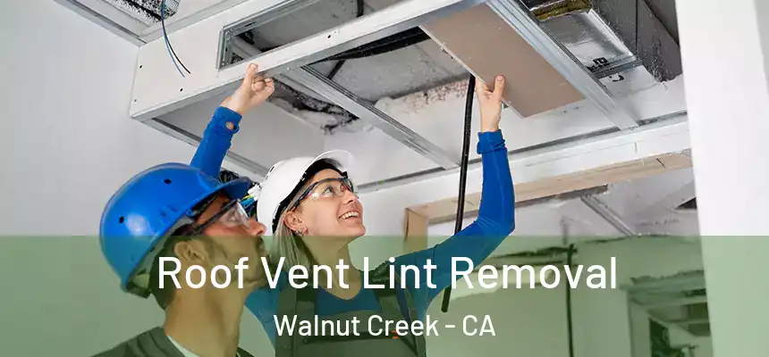 Roof Vent Lint Removal Walnut Creek - CA