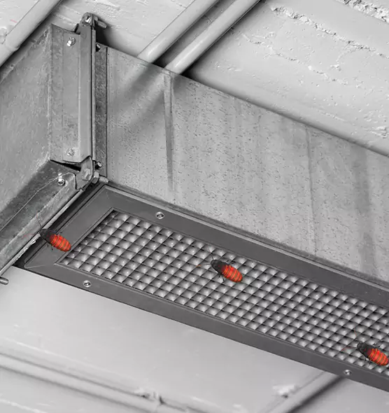 About Air Duct Cockroach Removal in Walnut Creek, CA