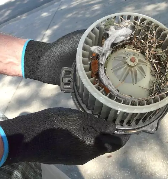 About Air Duct Mice Removal in Walnut Creek, CA