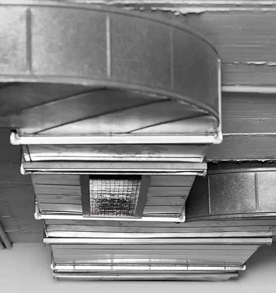 Professional Air Duct Pest Removal in Walnut Creek, CA