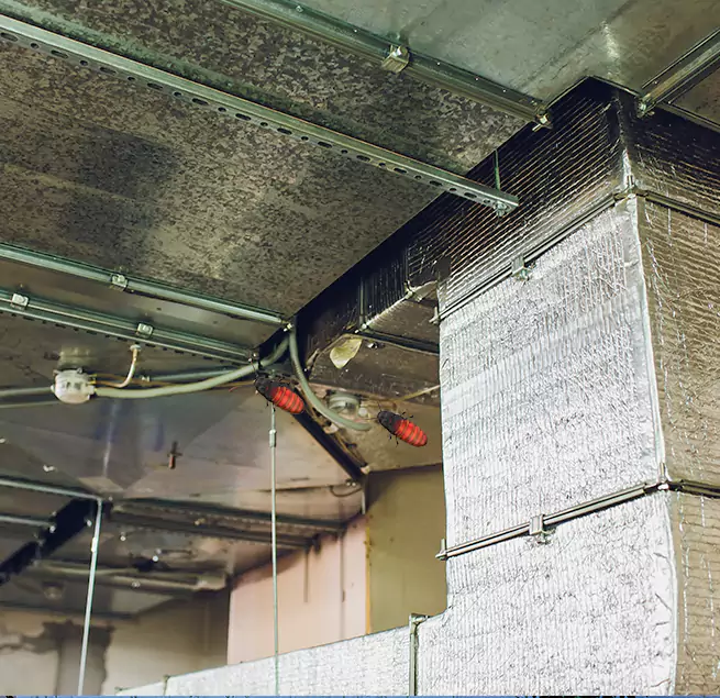 Why Homeowners & Businesses Trust Us in Walnut Creek, CA?