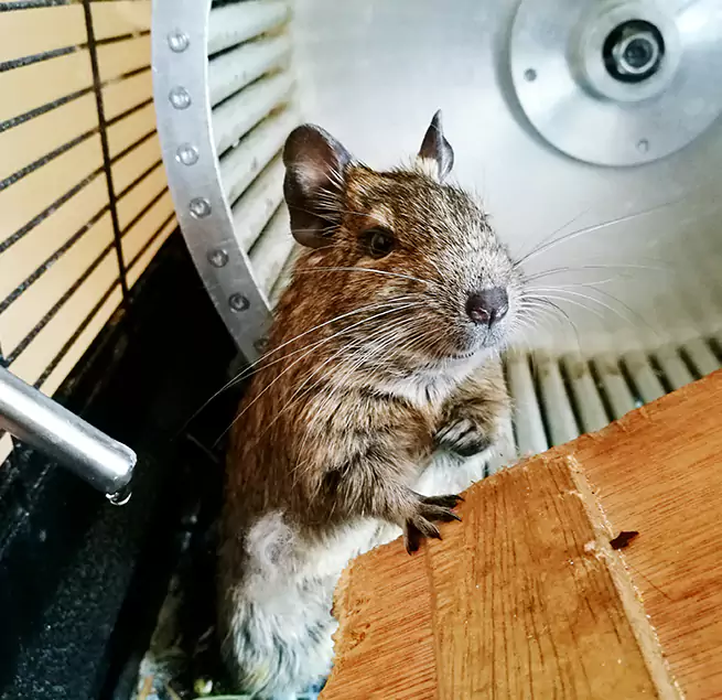 Why Homeowners & Businesses Trust Us Walnut Creek, CA