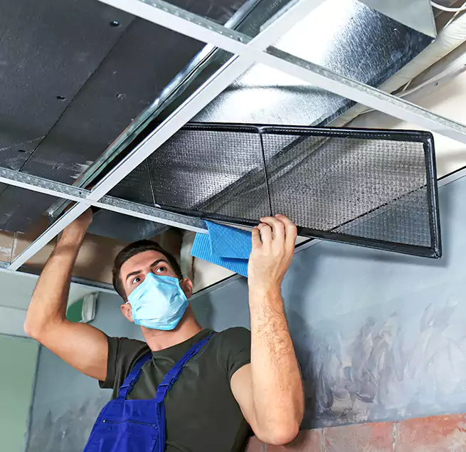 Why Homeowners Businesses Trust Us in Walnut Creek, CA